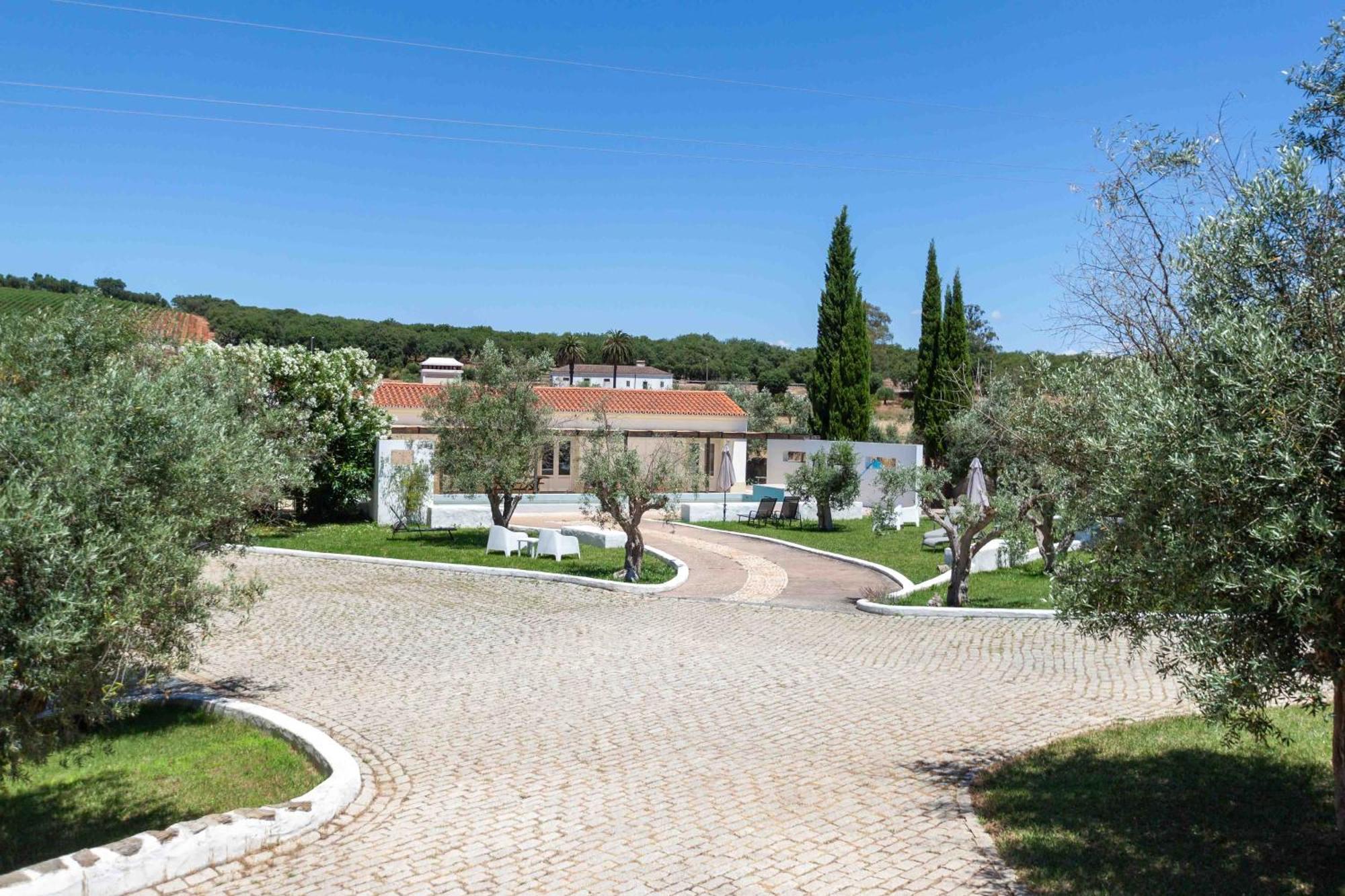 Monte Das Oliveiras - Casas De Campo 埃斯特雷莫斯 外观 照片